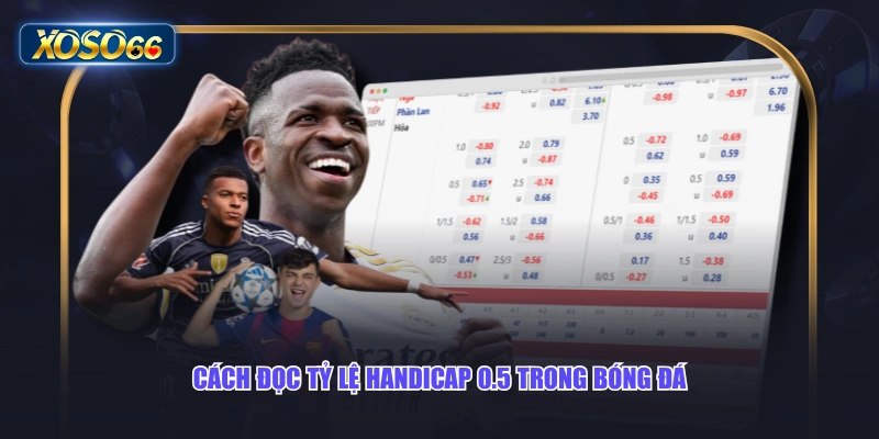 Cách đọc tỷ lệ Handicap 0.5 trong bóng đá
