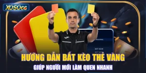 Hướng Dẫn Bắt Kèo Thẻ Vàng Giúp Người Mới Làm Quen Nhanh