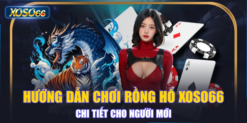 Hướng Dẫn Chơi Rồng Hổ XOSO66 Chi Tiết Cho Người Mới